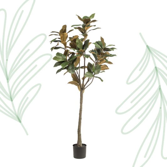 Kunstplant - Magnolia Grandiflora  - 150 cm - Forest Plants