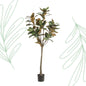 Kunstplant - Magnolia Grandiflora  - 150 cm - Forest Plants