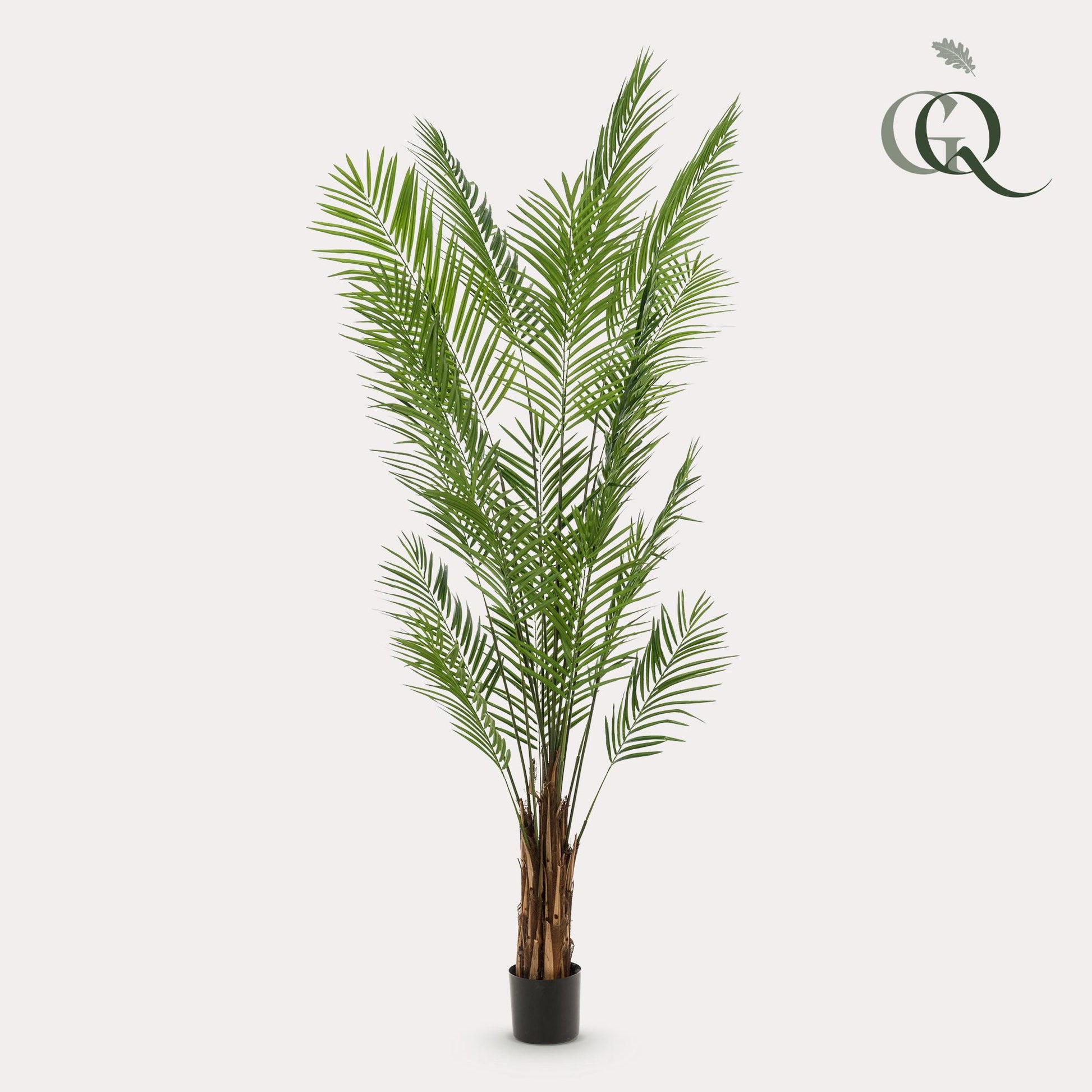 Kunstplant - Areca Lutescens - Goudpalm - 240 cm - Forest Plants