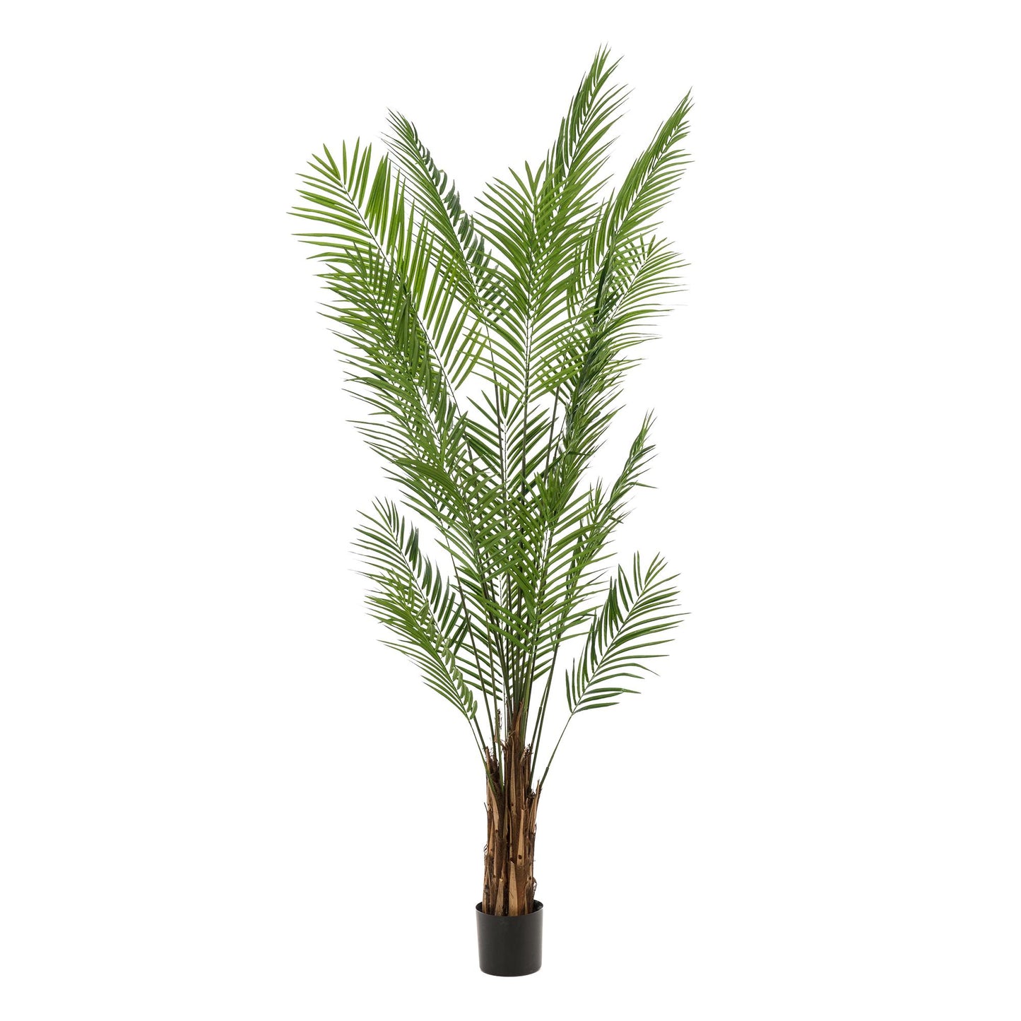 Kunstplant - Areca Lutescens - Goudpalm - 240 cm - Forest Plants