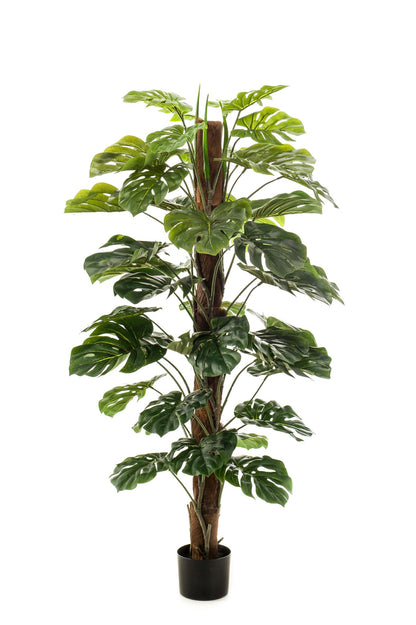 Kunstplant - Monstera Deliciosa - 150 cm - Forest Plants