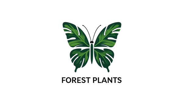 Forest Plants
