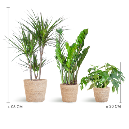 Schaduw Plantenbox - medium - met mand Sofia