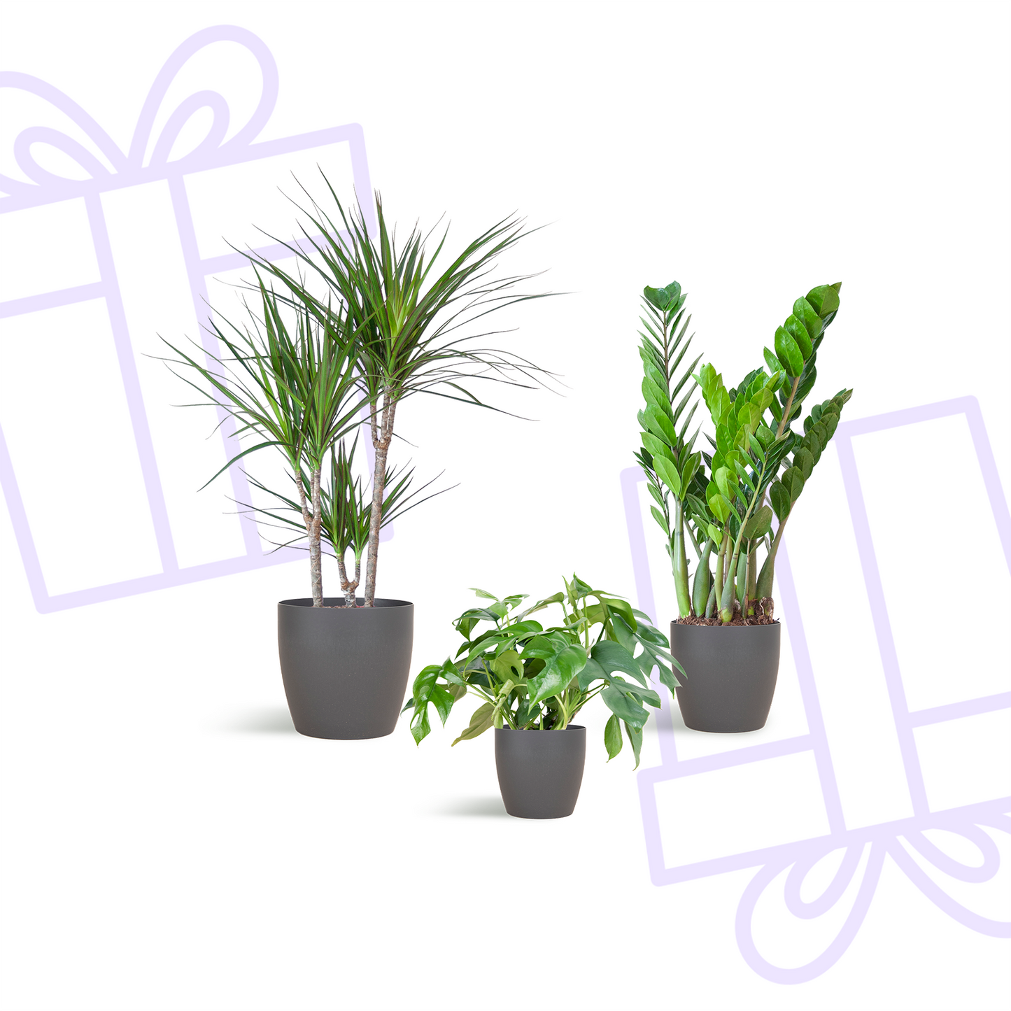 Schaduw Plantenbox - medium - met vibers pot grijs