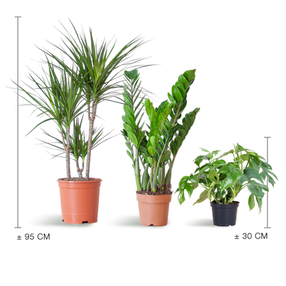 Schaduw Plantenbox - medium - zonder sierpot