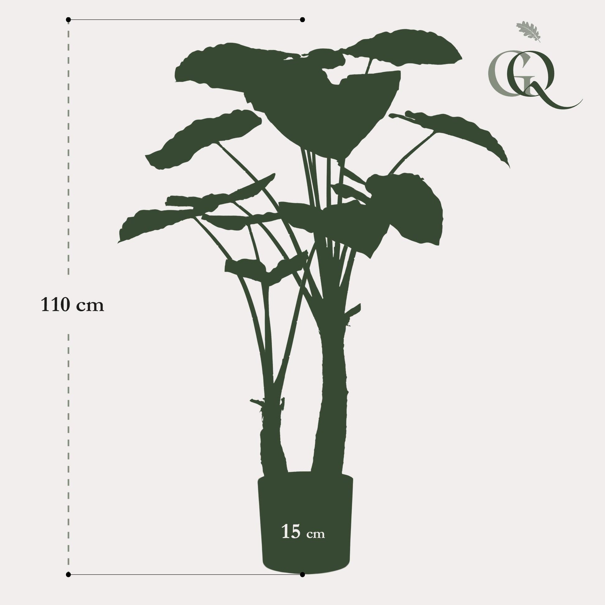Kunstplant - Alocasia - Olifantsoor - 110 cm - Forest Plants