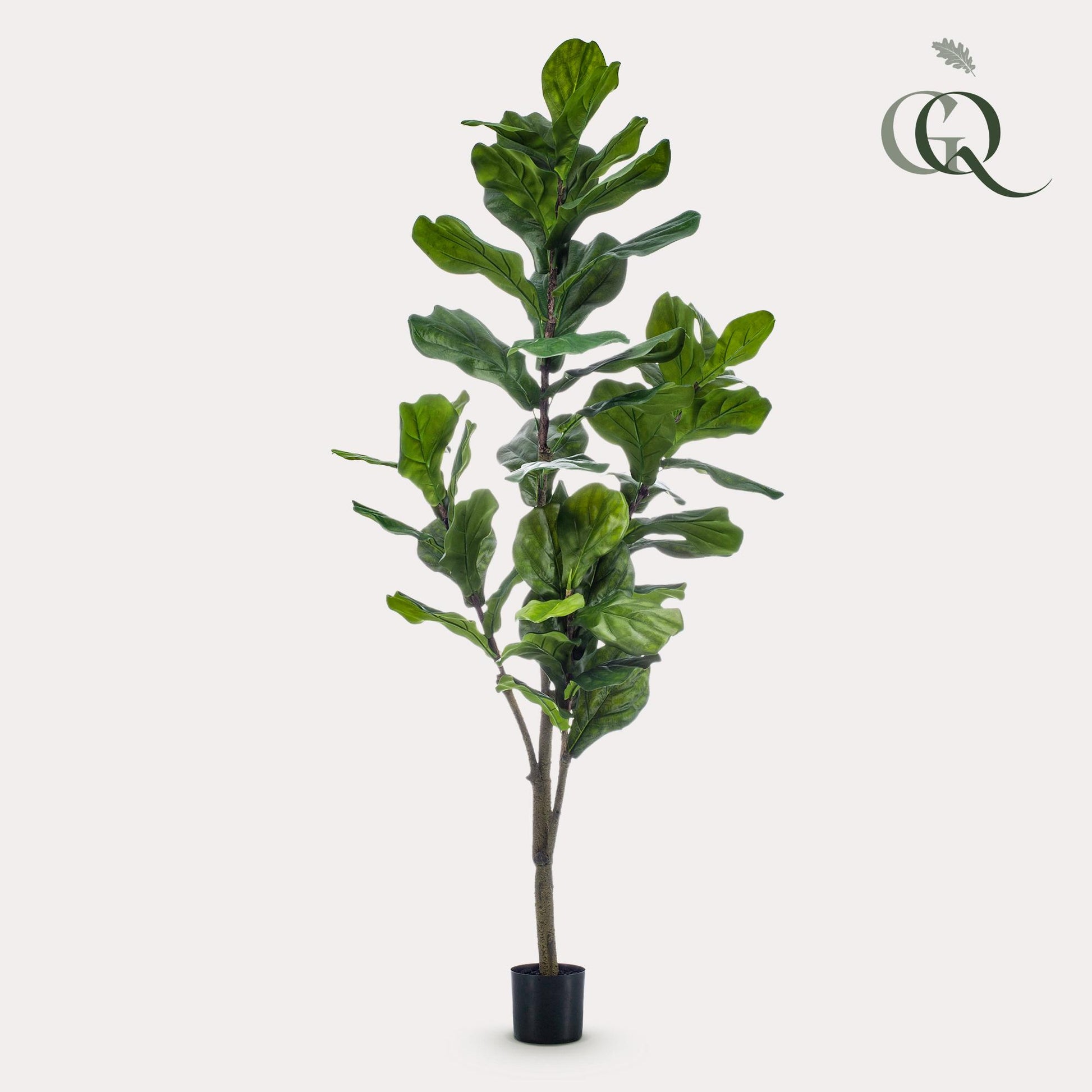 Kunstplant - Ficus Lyrata  - Tabaksplant - 150 cm - Forest Plants