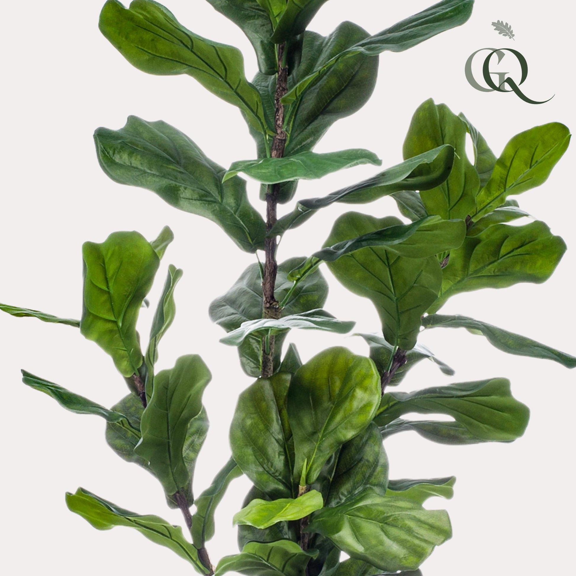Kunstplant - Ficus Lyrata  - Tabaksplant - 150 cm - Forest Plants