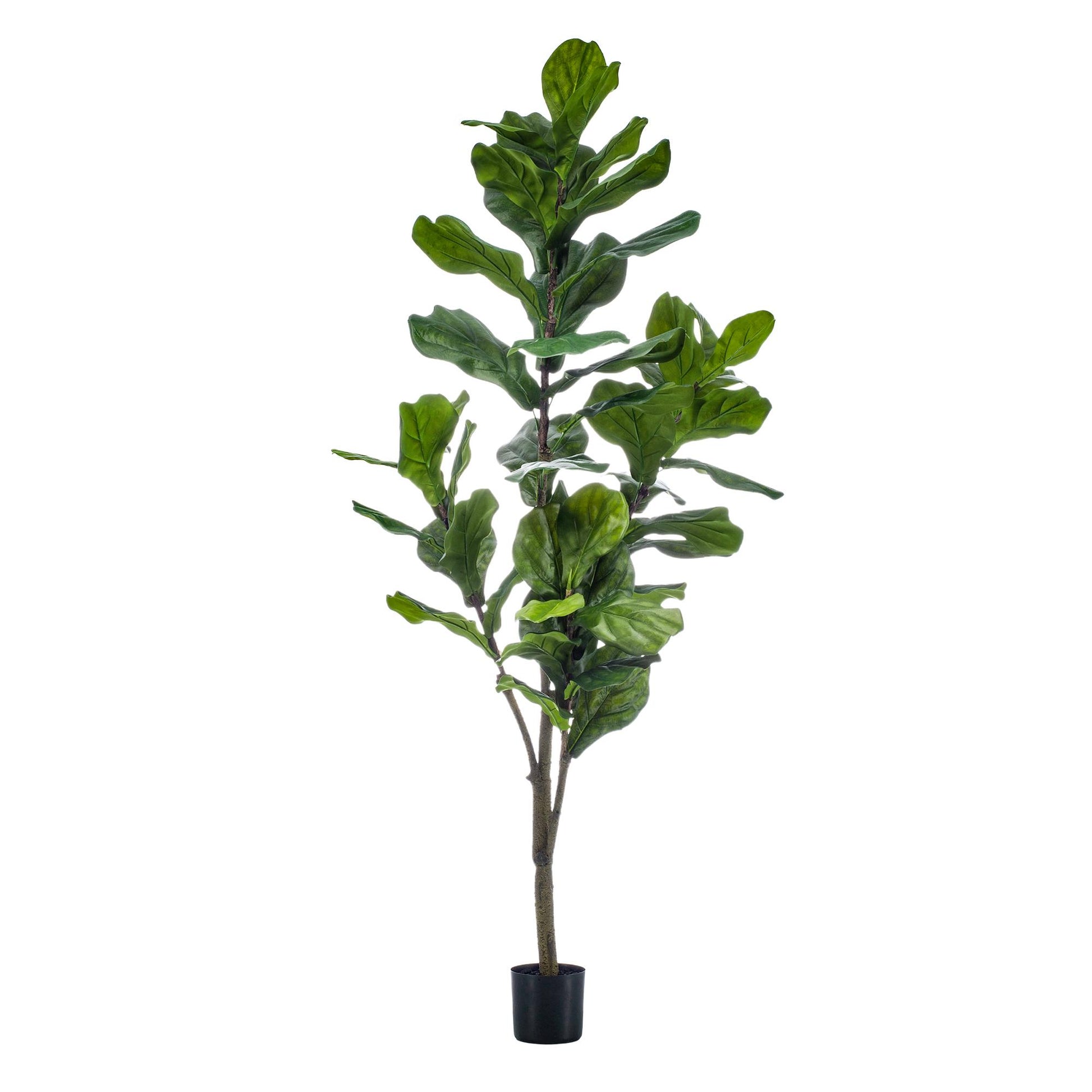 Kunstplant - Ficus Lyrata  - Tabaksplant - 150 cm - Forest Plants