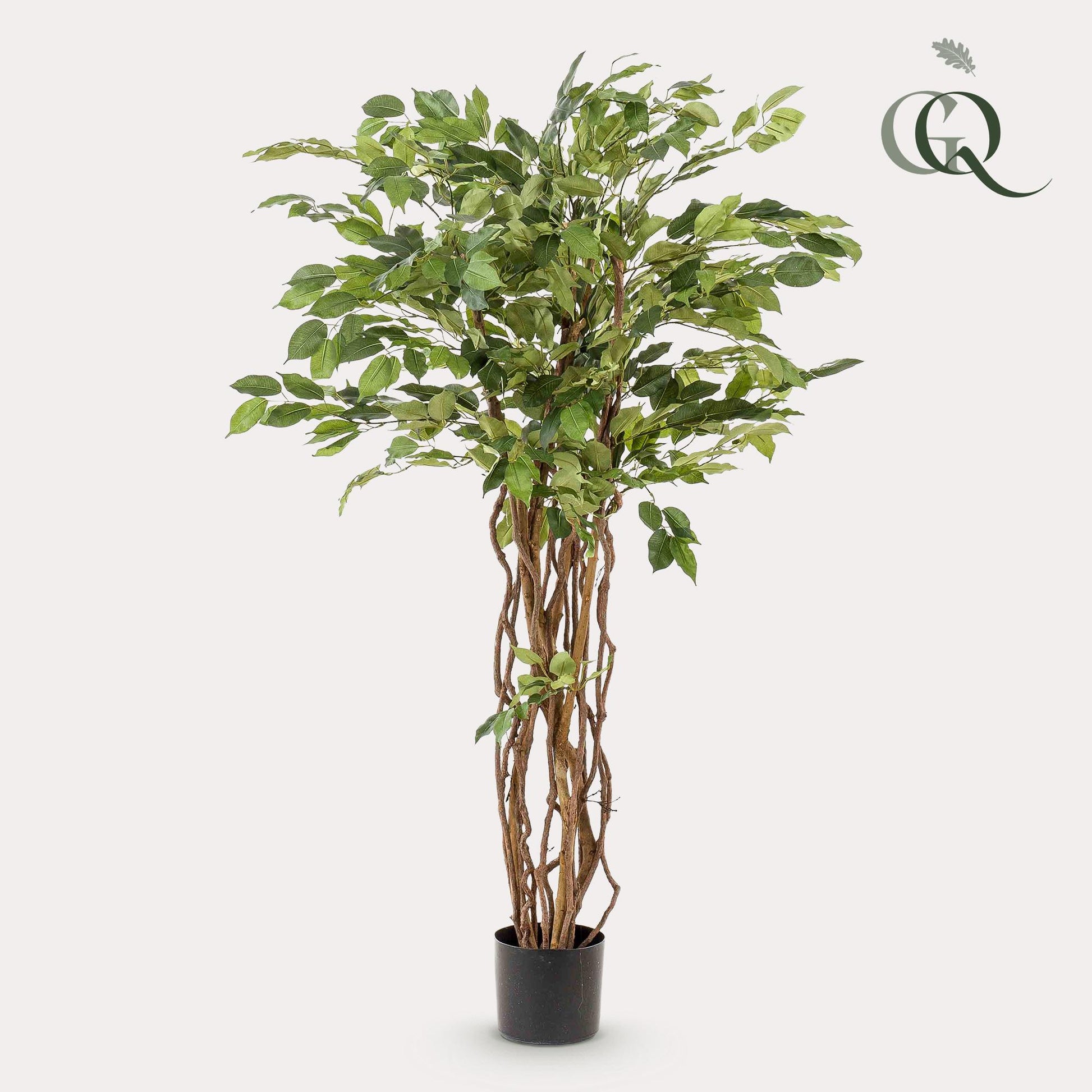 kunstplant - Ficus liana  - Vioolbladplant - 140 cm - Forest Plants