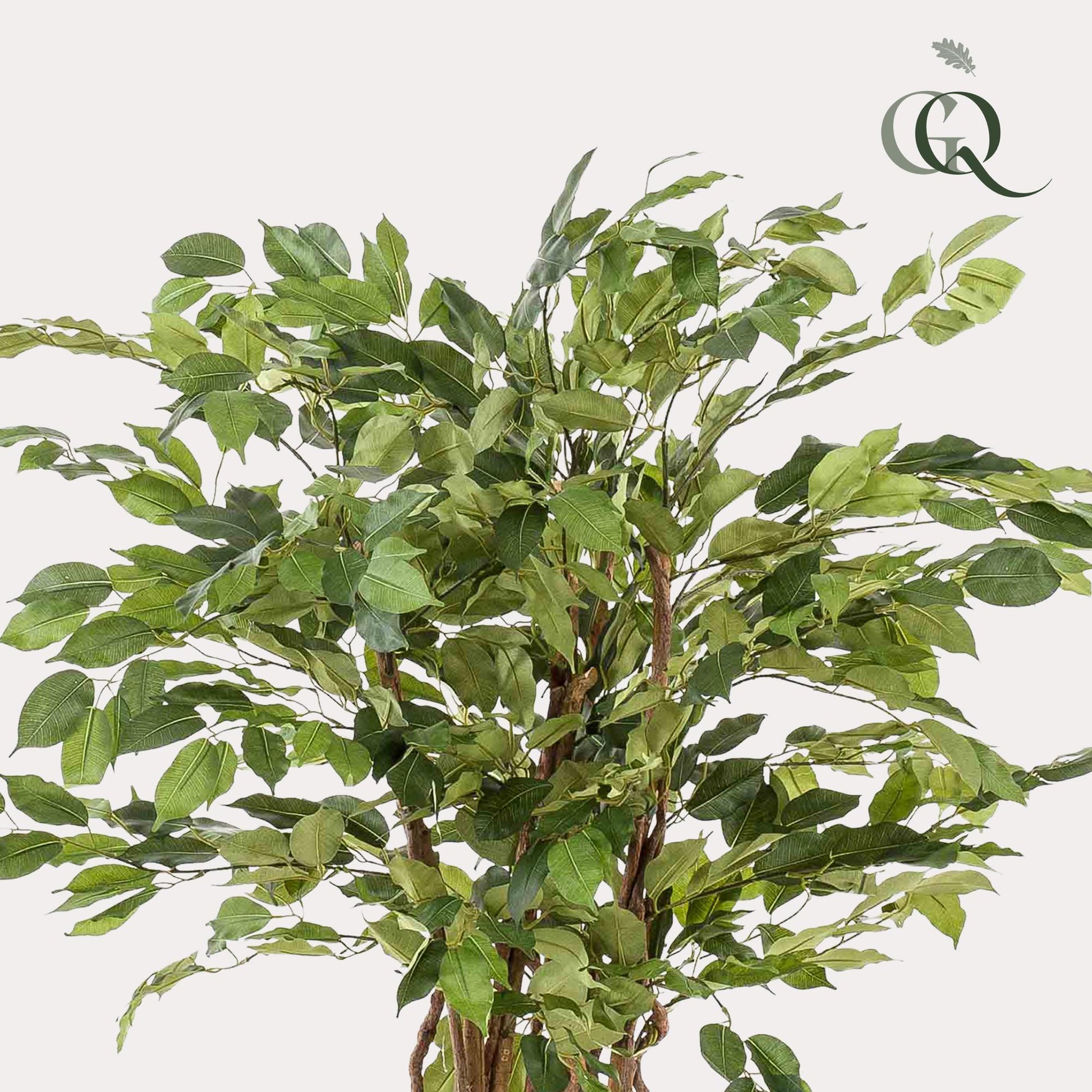 kunstplant - Ficus liana  - Vioolbladplant - 140 cm - Forest Plants