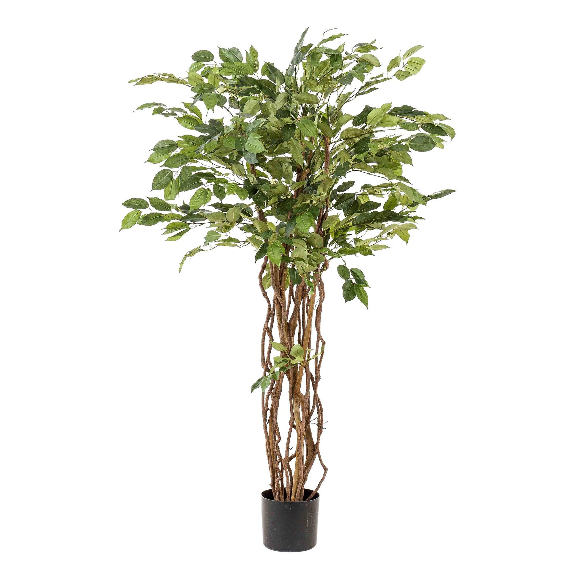 kunstplant - Ficus liana  - Vioolbladplant - 140 cm - Forest Plants