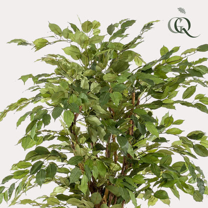 Kunstplant - Ficus liana  - Vioolbladplant - 170 cm - Forest Plants