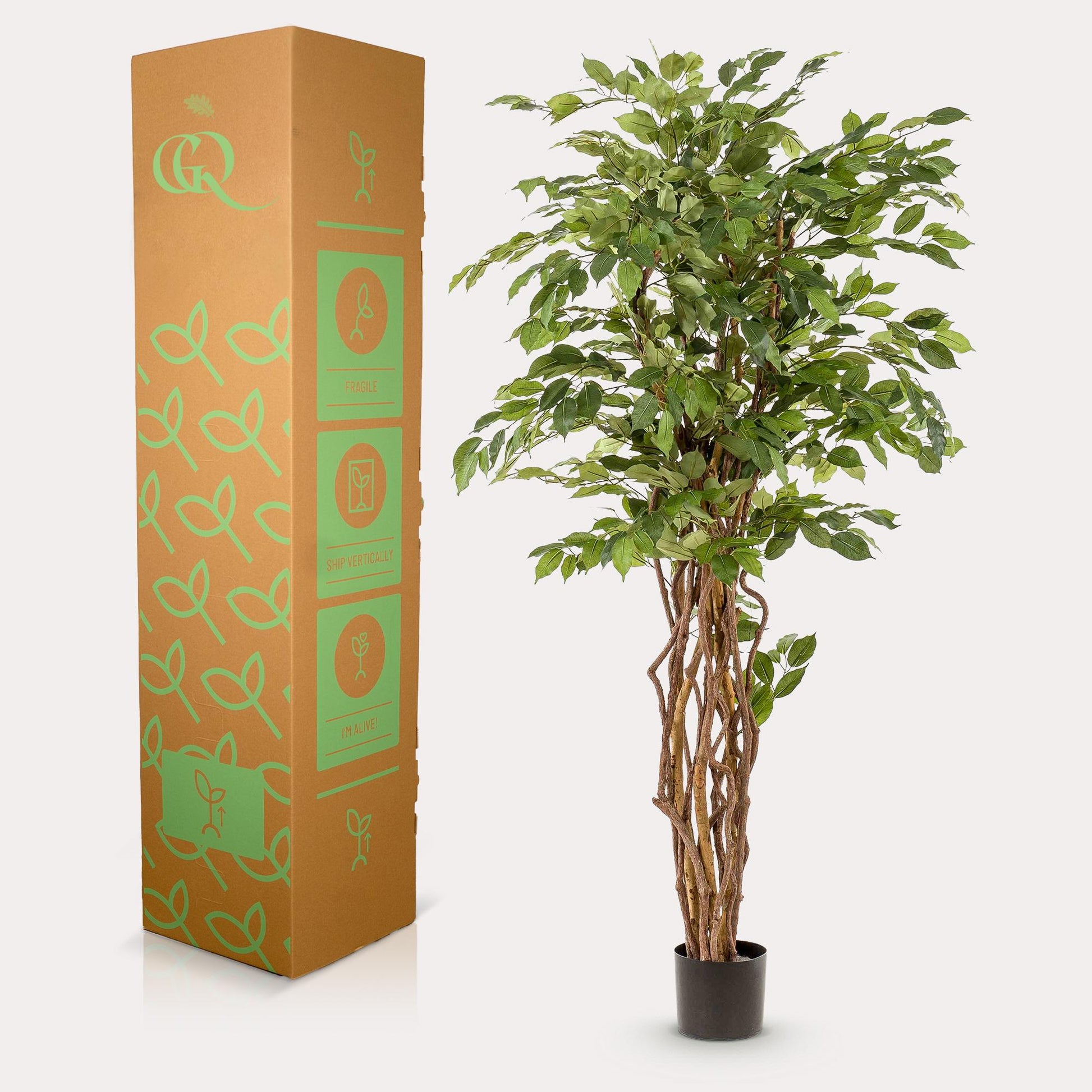 Kunstplant - Ficus liana  - Vioolbladplant - 170 cm - Forest Plants