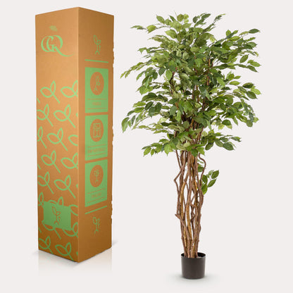 Kunstplant - Ficus liana  - Vioolbladplant - 170 cm - Forest Plants