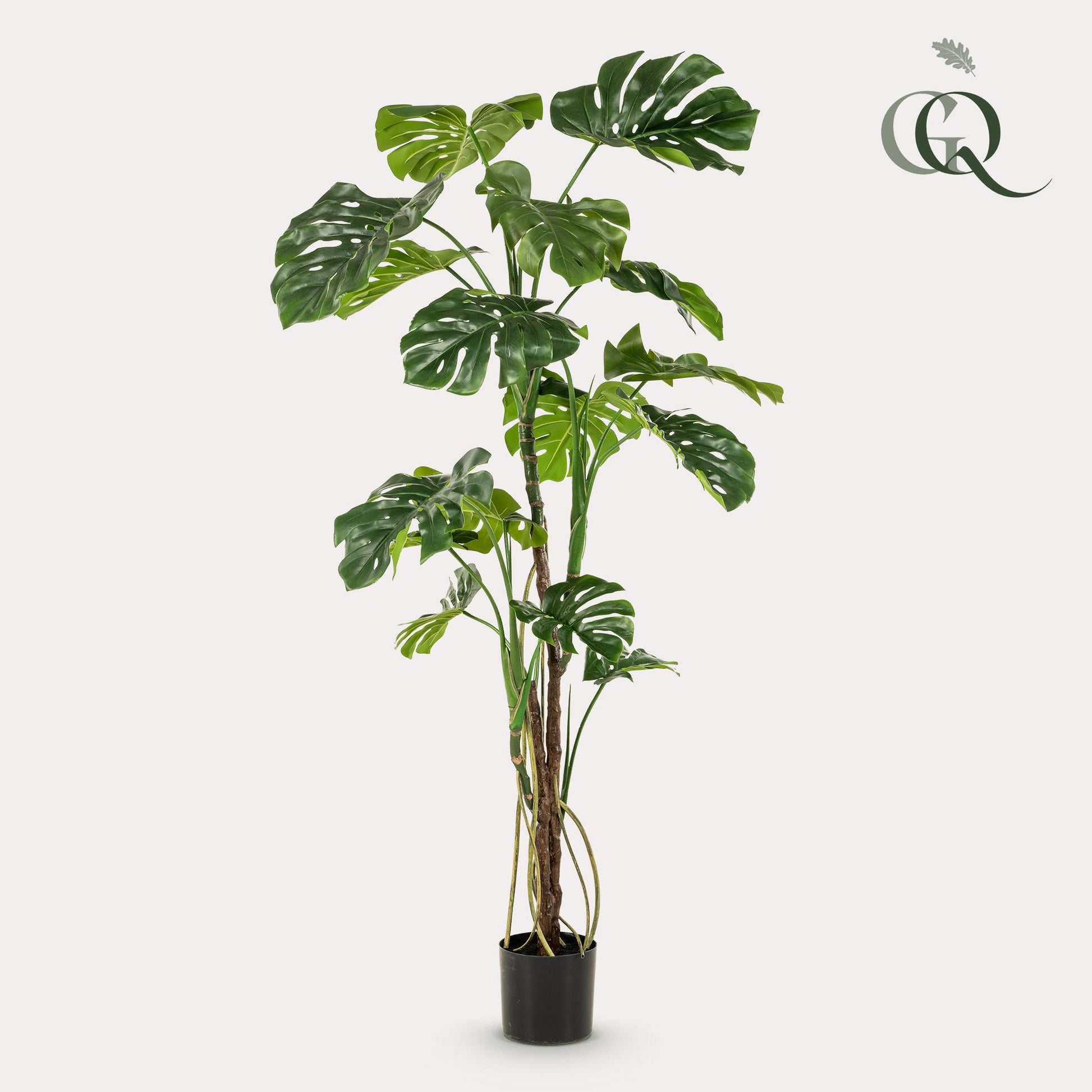 Kunstplant - Monstera  - Gatenplant - 180 cm - Forest Plants