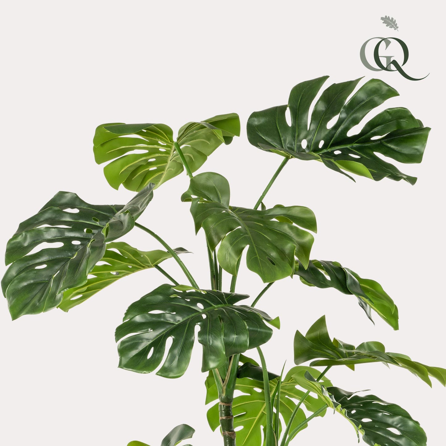 Kunstplant - Monstera  - Gatenplant - 180 cm - Forest Plants