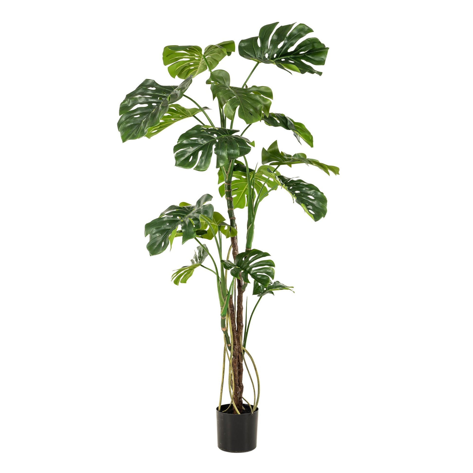 Kunstplant - Monstera  - Gatenplant - 180 cm - Forest Plants