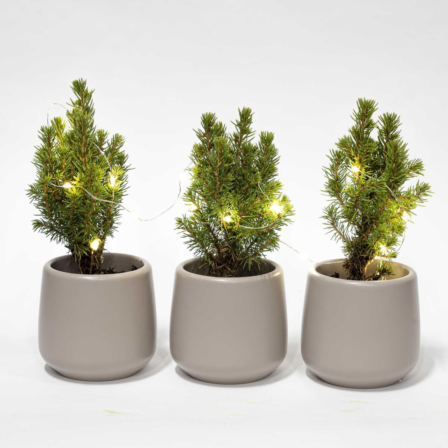 Mini-kerstboom set 3 - inclusief 3x pot Joey grijs + 20 LED-lichtjes
