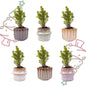Mini-kerstboom set 6 - inclusief pot set Barcelona