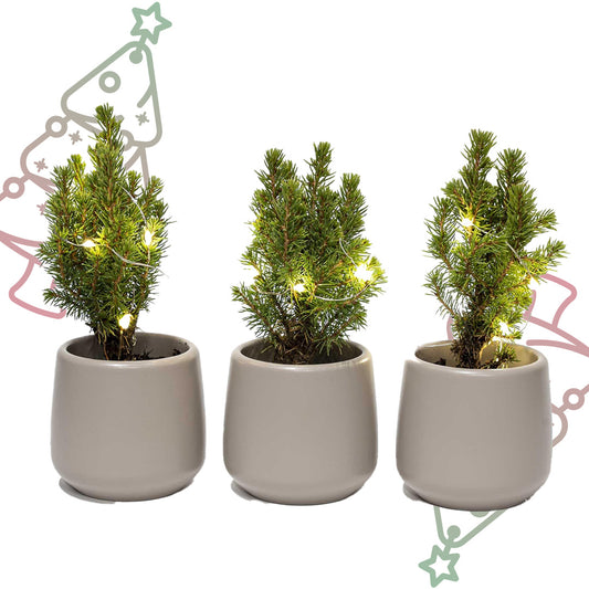 Mini-kerstboom set 3 - inclusief 3x pot Joey grijs + 20 LED-lichtjes
