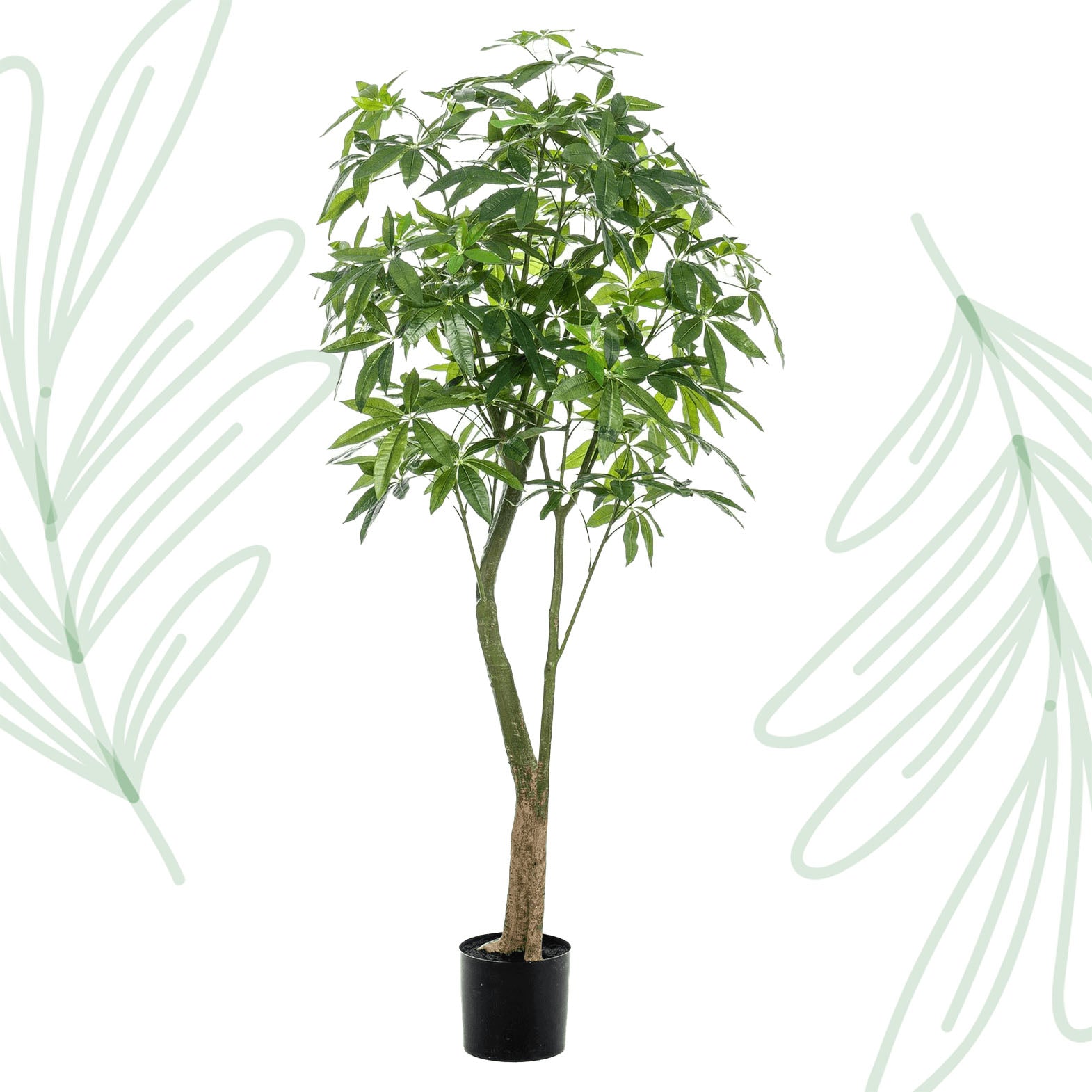 Kunstplant - Pachira Aquatica - Geldboom - 180 cm - Forest Plants