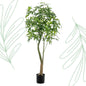 Kunstplant - Pachira Aquatica - Geldboom - 180 cm - Forest Plants