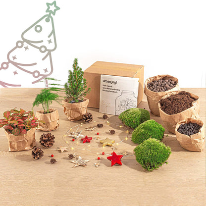 DIY Christmas Planten terrarium pakket - Mini-kerstboom - Navulling & Startpakket