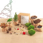 DIY Christmas Planten terrarium pakket - Mini-kerstboom - Navulling & Startpakket