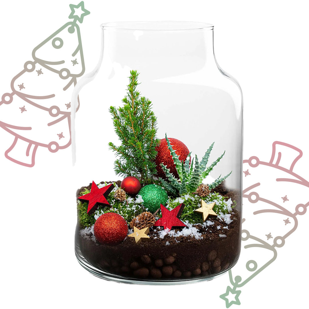Frosty Kerstmis terrarium - Planten terrarium DIY kit Christmas - Ø 17 cm ↕ 25 cm