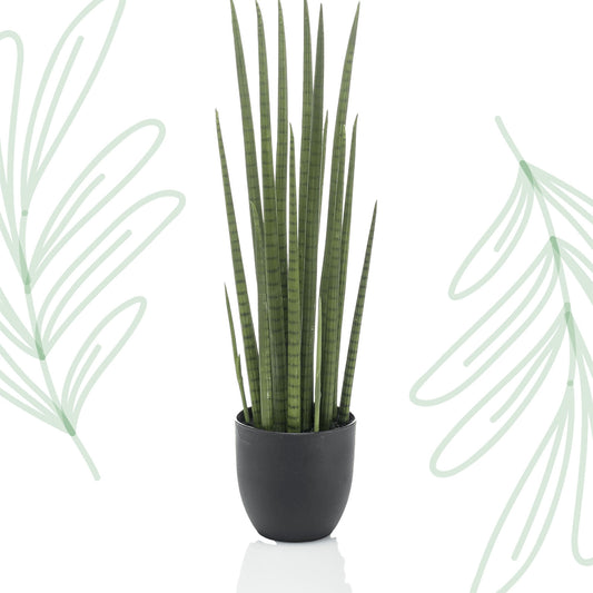 Kunstplant - Sanseveria Cylindrica - Vrouwentong - 70 cm - Forest Plants