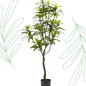 Kunstplant - Dracaena - Drakenboom - 190 cm - Forest Plants