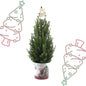 Kleine Kerstboom in Kerstmis sierpot - ↕ 70 cm - Picea Glauca Conica