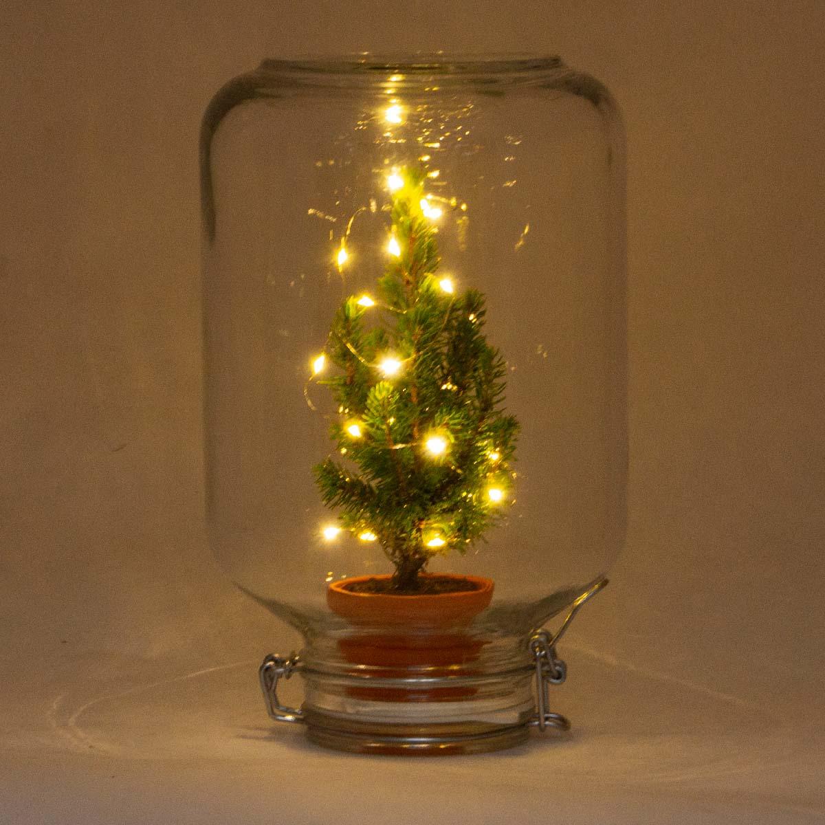 Mini Kerstboom in glazen stolp met LED-lichtjes - ↕ 28 cm
