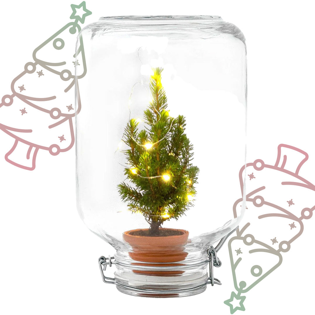 Mini Kerstboom in glazen stolp met LED-lichtjes - ↕ 28 cm