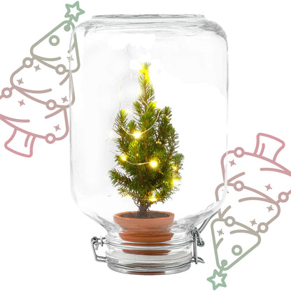 Mini Kerstboom in glazen stolp met LED-lichtjes - ↕ 28 cm