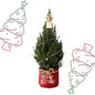 Kleine Kerstboom in 'Merry Christmas' zak rood - ↕ 70 cm - Picea Glauca Conica - Sterren Lampjes met batterijen