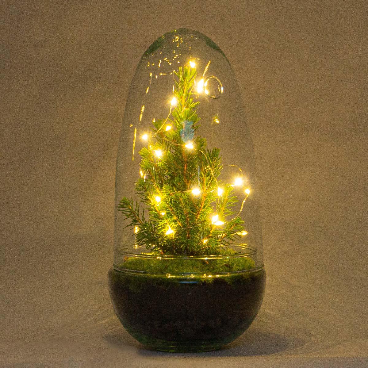 DIY terrarium - Egg Christmas - Kerst decoratie ↕ 25 cm