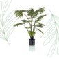 Kunstplant - Philodendron - 80 cm - Forest Plants