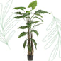 Kunstplant - Alocasia - Olifantsoor - 180 cm - Forest Plants