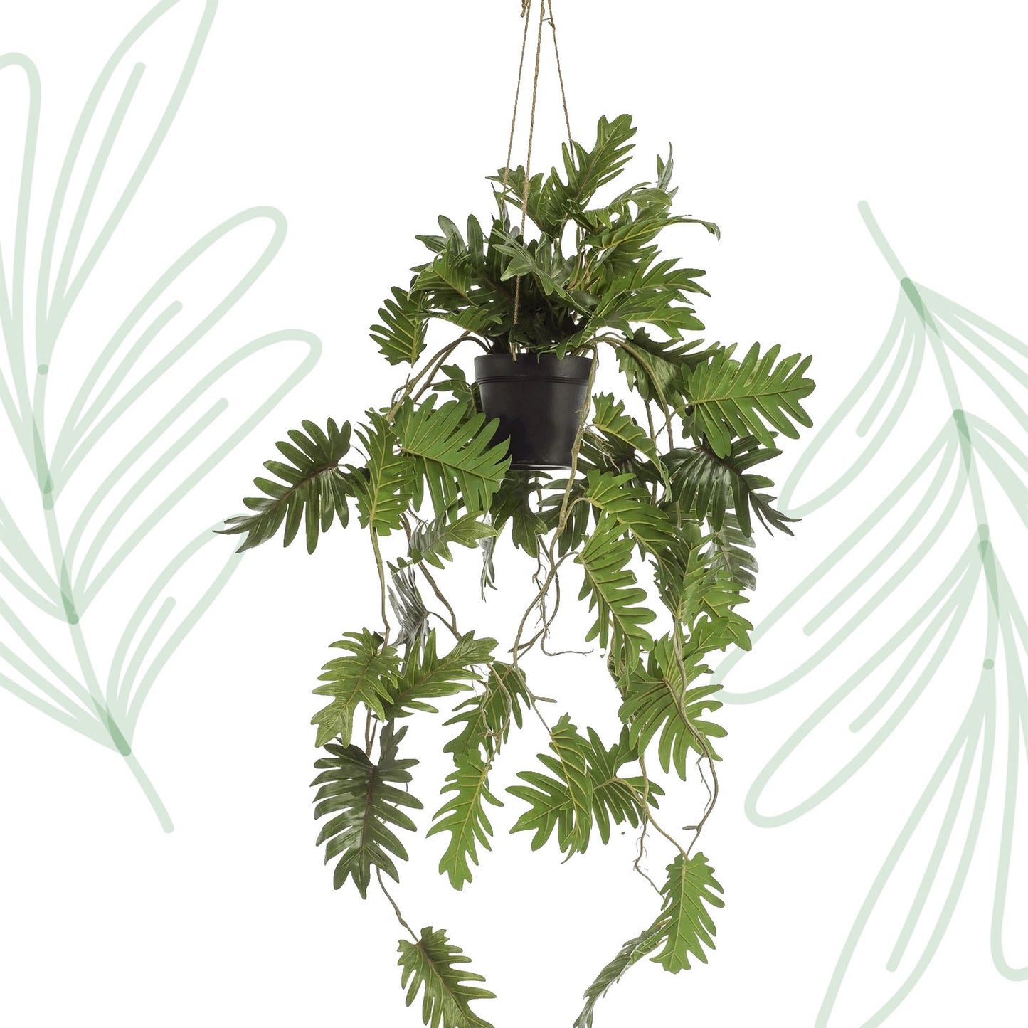 Kunstplant - Philodendron - Klimmende boomliefhebber - 80 cm - Forest Plants