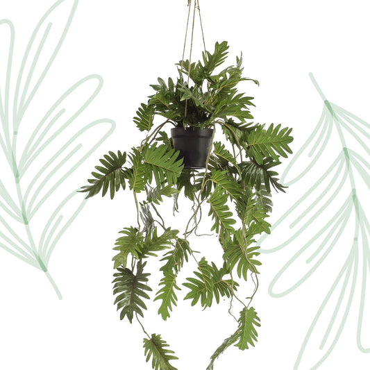 Kunstplant - Philodendron - Klimmende boomliefhebber - 80 cm - Forest Plants