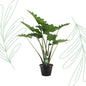 Alocasia Portodora - 140 cm