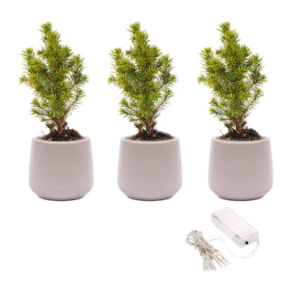 Mini-kerstboom set 3 - inclusief 3x pot Joey grijs + 20 LED-lichtjes