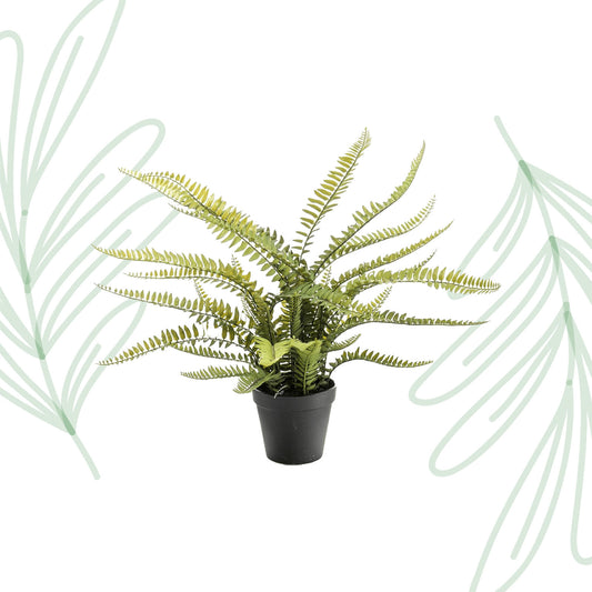 Kunstplant - Nephrolepis Exaltata - Bostonvaren - 55 cm - Forest Plants