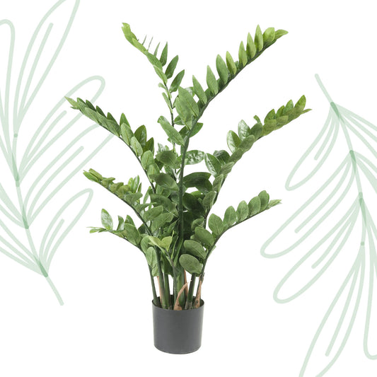 Kunstplant - Zamioculcas - Kamerpalm - 110 cm - Forest Plants