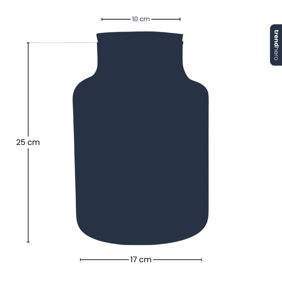 Frosty Kerstmis terrarium - Planten terrarium DIY kit Christmas - Ø 17 cm ↕ 25 cm