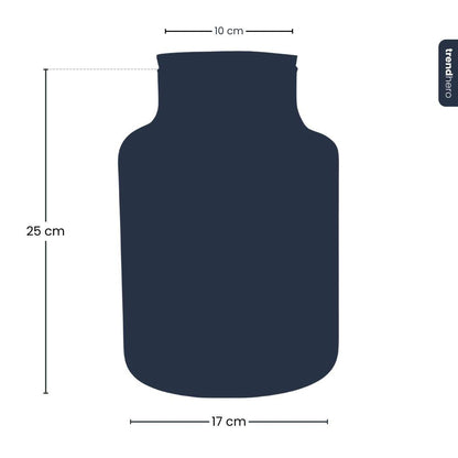 Frosty Kerstmis terrarium - Planten terrarium DIY kit Christmas - Ø 17 cm ↕ 25 cm