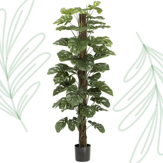 Kunstplant - Monstera Deliciosa - 180 cm - Forest Plants