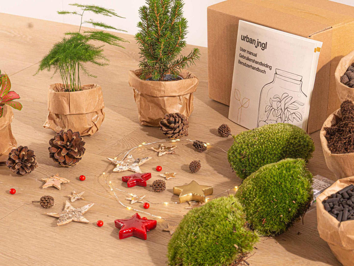DIY Christmas Planten terrarium pakket - Mini-kerstboom - Navulling & Startpakket